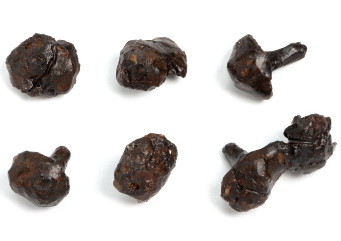 Schuhnägel Sieben römische Schuhnägel aus Eisen