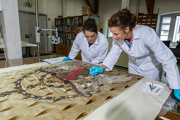 View of the restoration workshop: appraisal of the throne canopy, © Badisches Landesmuseum, Photo: ARTIS - Uli Deck
