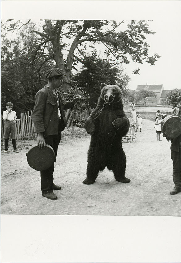 Photo of a dancing bear with a muzzle and a man with a tambourine