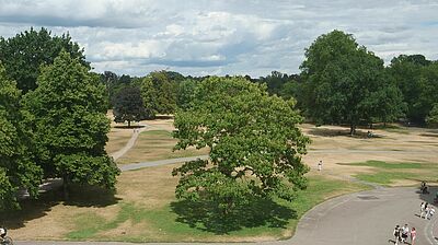 Blick in den Karlsruher Schlossgarten mit vertrocknetem Rasen.