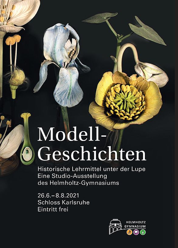 Ausstellungsplakat "Modellgeschichten - Historische Lehrmittel unter der Lupe"
