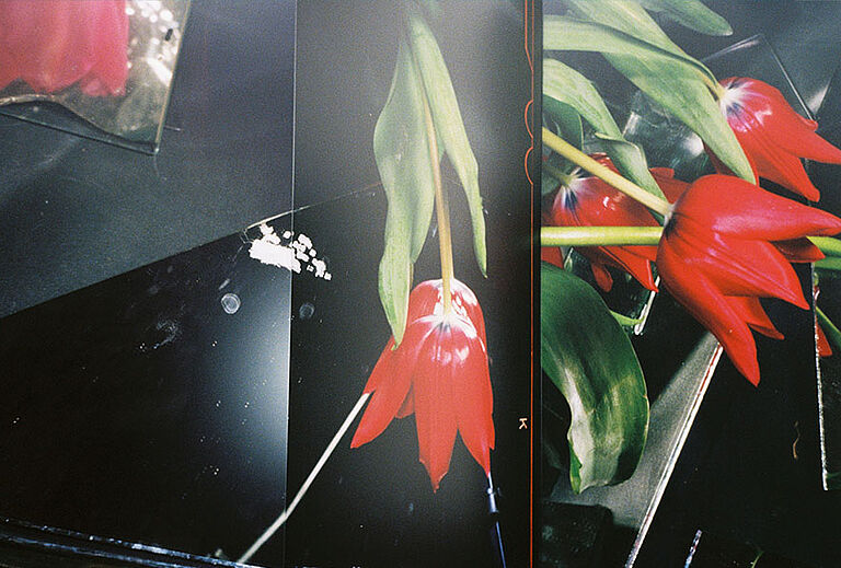 Großformatige fotografische Arbeit mit roten Tulpen und grünen Blättern auf dunklem Hintergrund. Die Blüten erscheinen fragmentiert und spiegeln sich in überlappenden Bildflächen. Das Werk thematisiert Wahrnehmung, Natur und Kultur in der Ausstellung Bloom up! Die Sprache der Blumen des Badischen Landesmuseums in der Kunsthalle Baden-Baden.