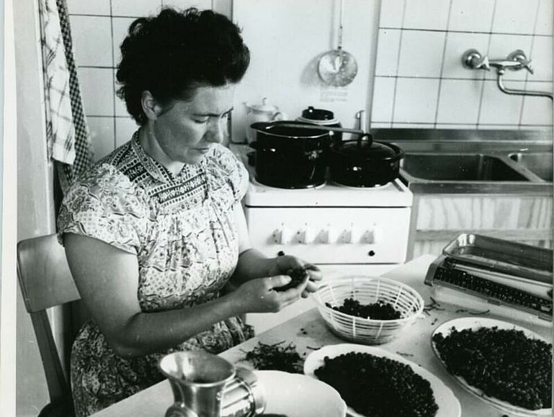schwarz-weiß-Fotografie einer Frau in der Küche beim Einmachen verschiedener Früchte