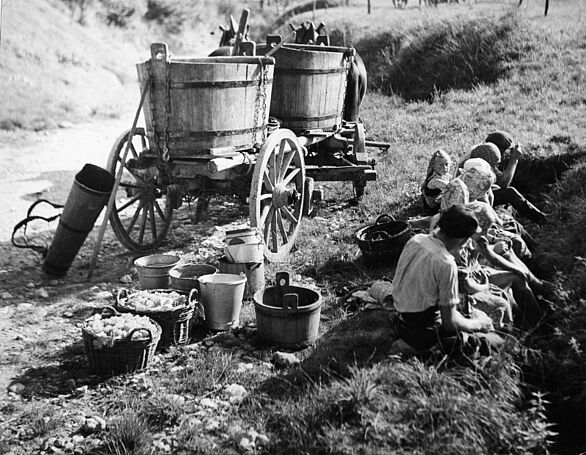 Photo of a snack break during the grape harvest