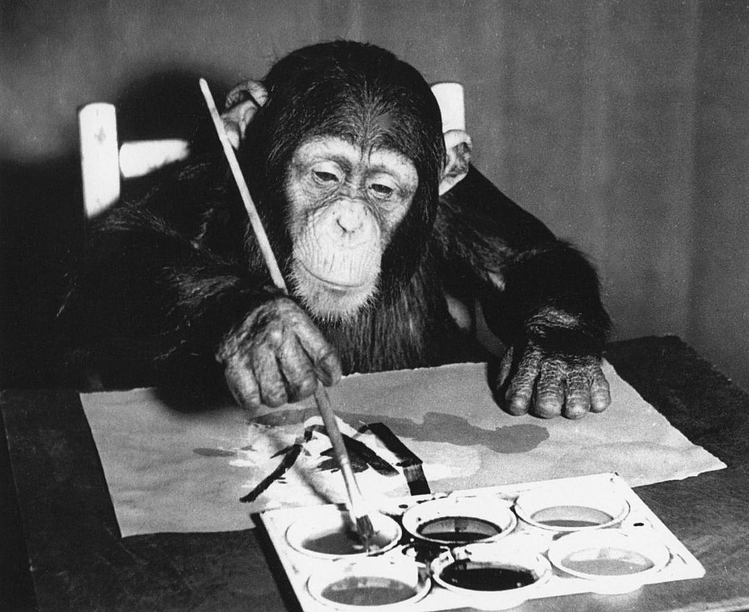 Schwarz-weiß-Fotografie: Ein Schimpanse malt mit Wasserfarben