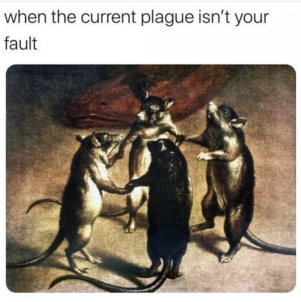 Screenshot eines Memes von Instagram: vier Mäuse fassen sich an den Tatzen und tanzen im Kreis. Darüber steht der Text: "when the current plague isn't your fault"